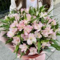 Alstromeria zdjęcie najpiękniejszego bukietu na prezent