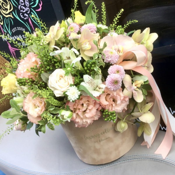 Welurowy flower box - MUS MORELOWY