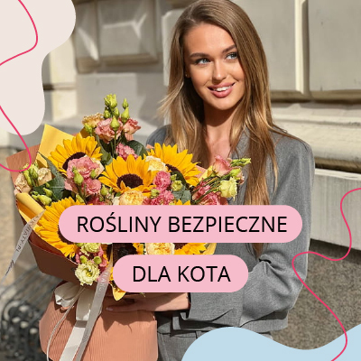 Rośliny bezpieczne dla kota